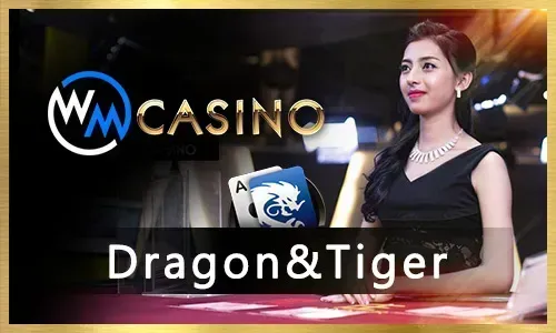 A vibrant display of various online casino games available at 55BMW.
